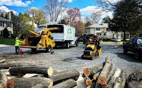 Best Tree Risk Assessment  in Magna, UT