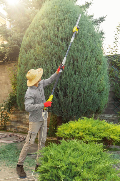 Best Storm Damage Tree Cleanup  in Magna, UT